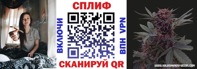 Где купить Первомайск Амфетамин Кокаин Метамфетамин Alpha-PVP Конопля ГАШ Мефедрон