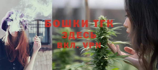 дурь Дмитриев