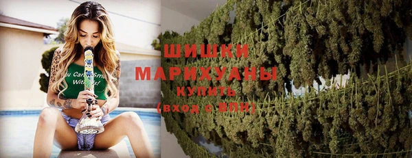 дурь Дмитриев