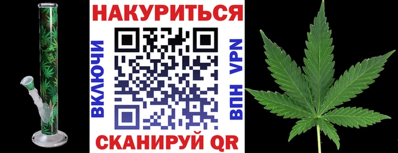 Конопля гибрид  Первомайск 